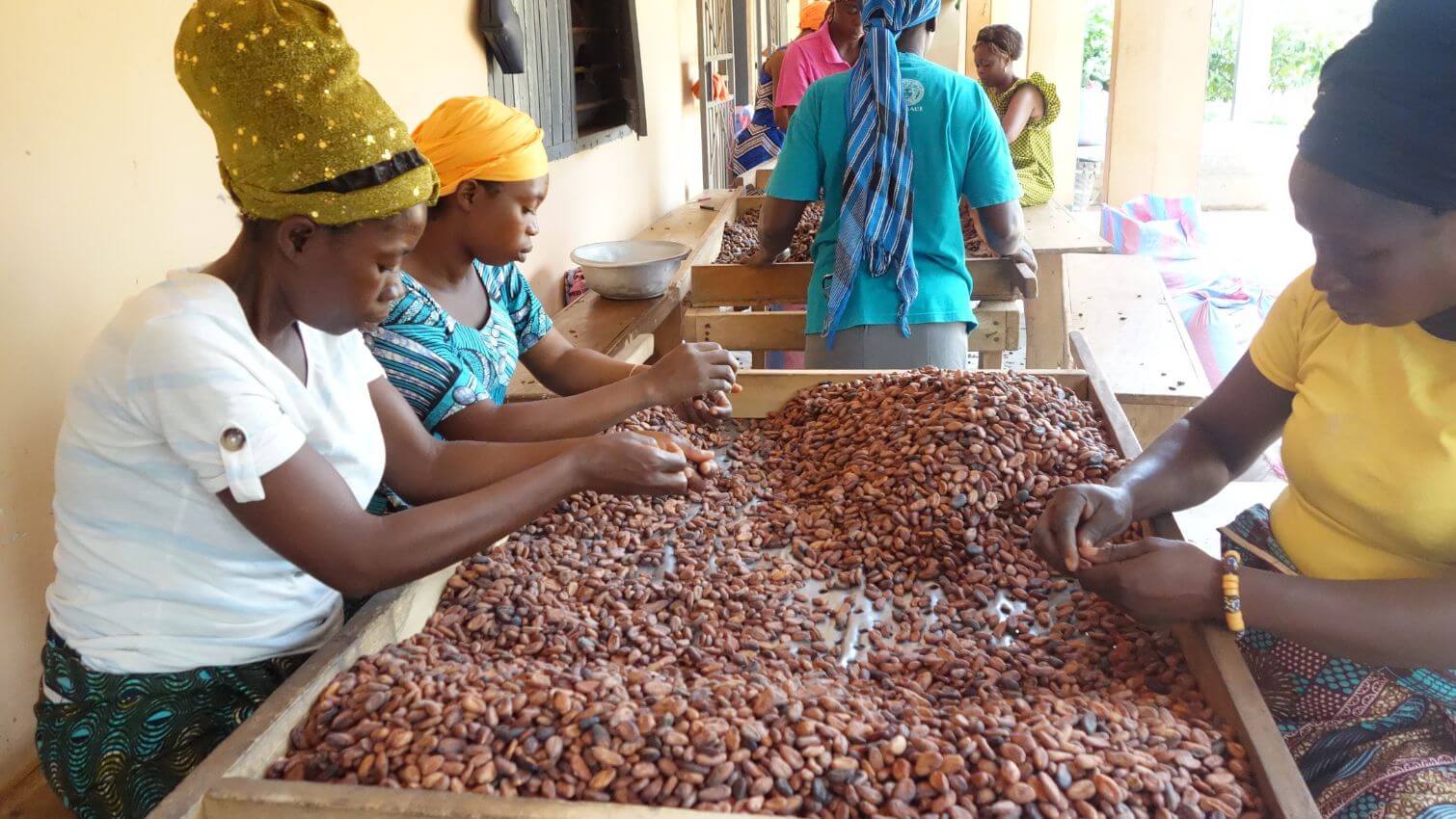 Membres coopÃ©rative au Togo - Chocolat noir bio 76% Togo